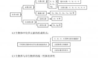 高中生物免疫调节知识点总结